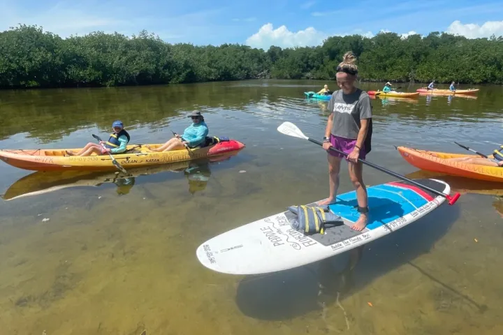 Paddle boarder spotting a turtle from their vessel
