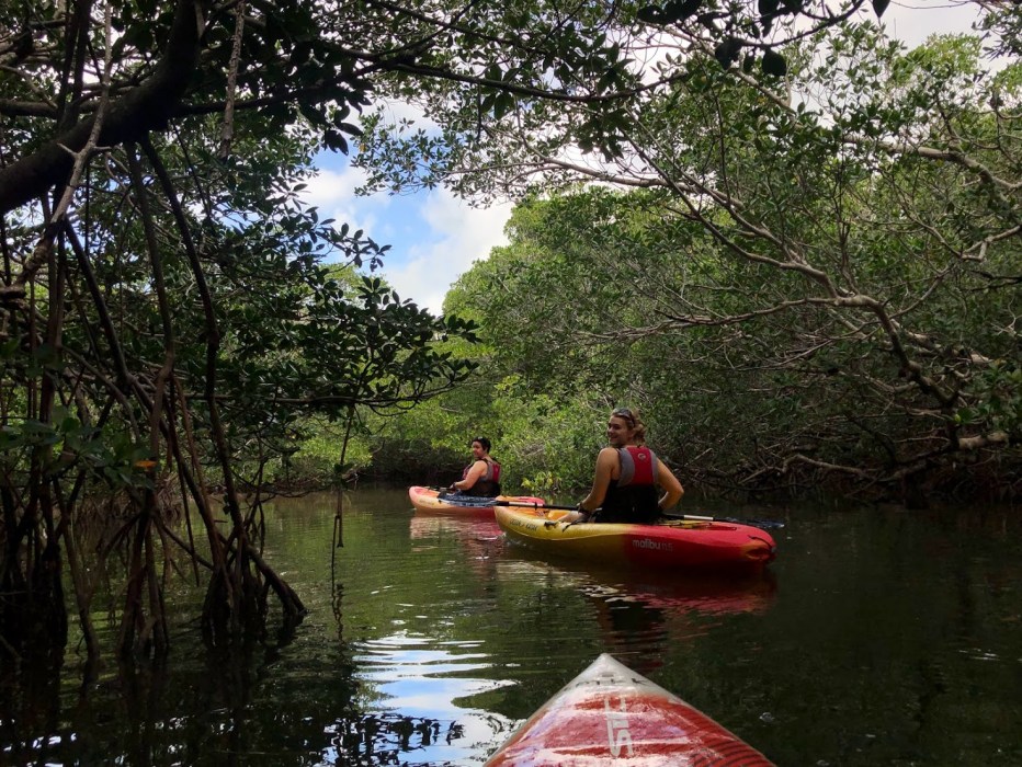 Onsite Kayak & Paddleboard Rentals | PADDLE! the Florida Keys, Inc.