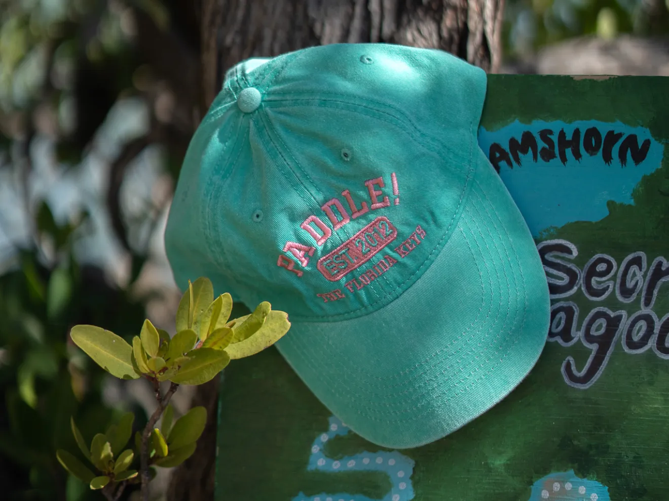 PTFK baseball cap in teal, available for sale